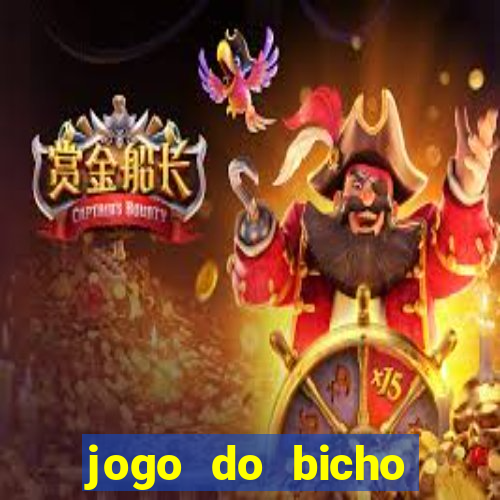 jogo do bicho crash bingo